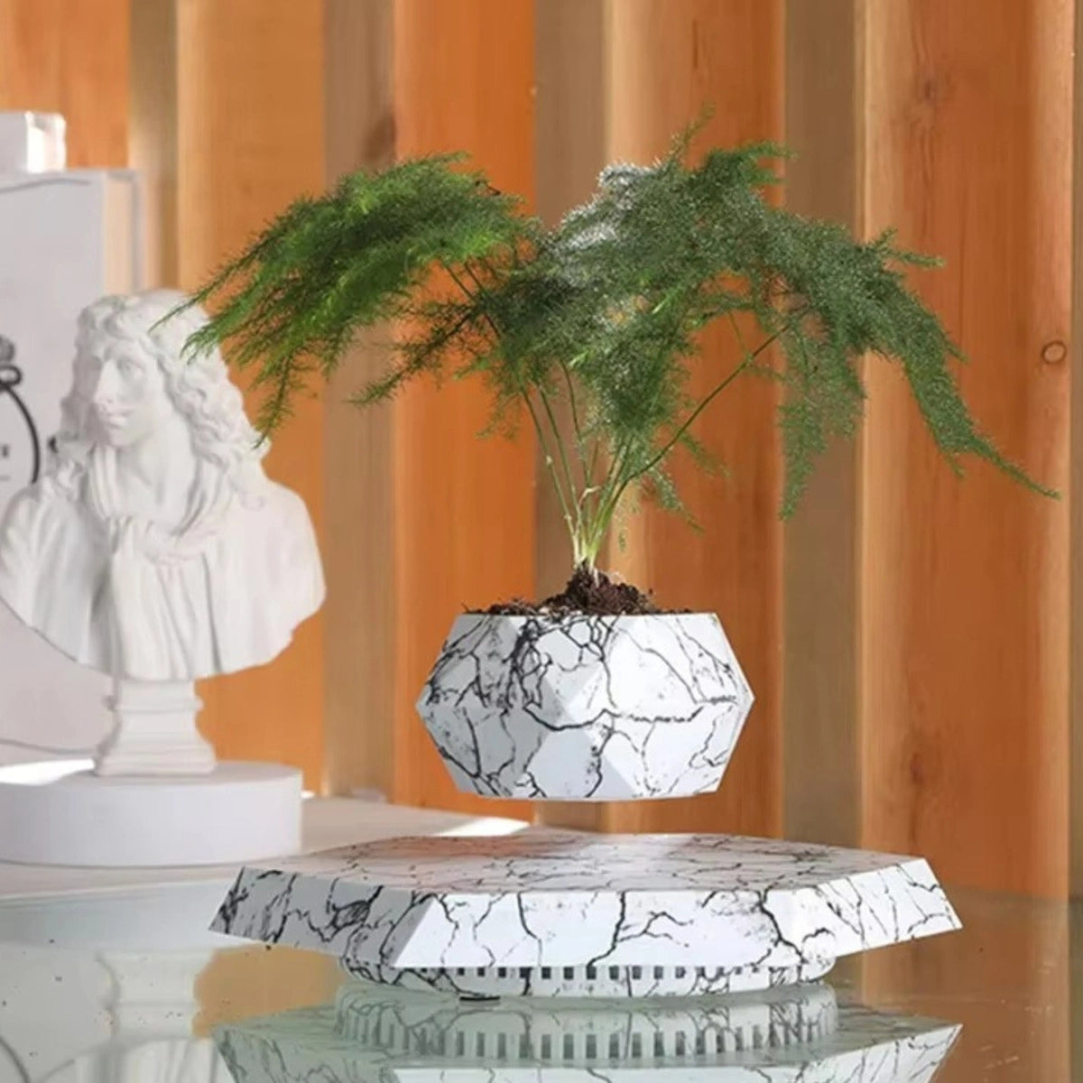Levitating Plant Pot