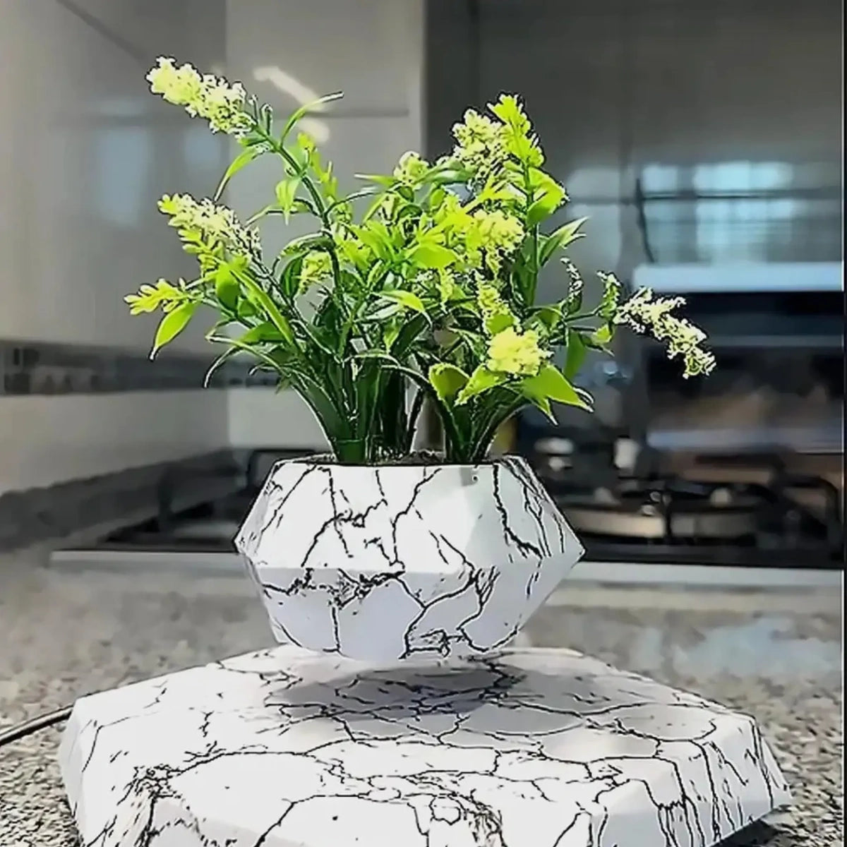 Levitating Plant Pot