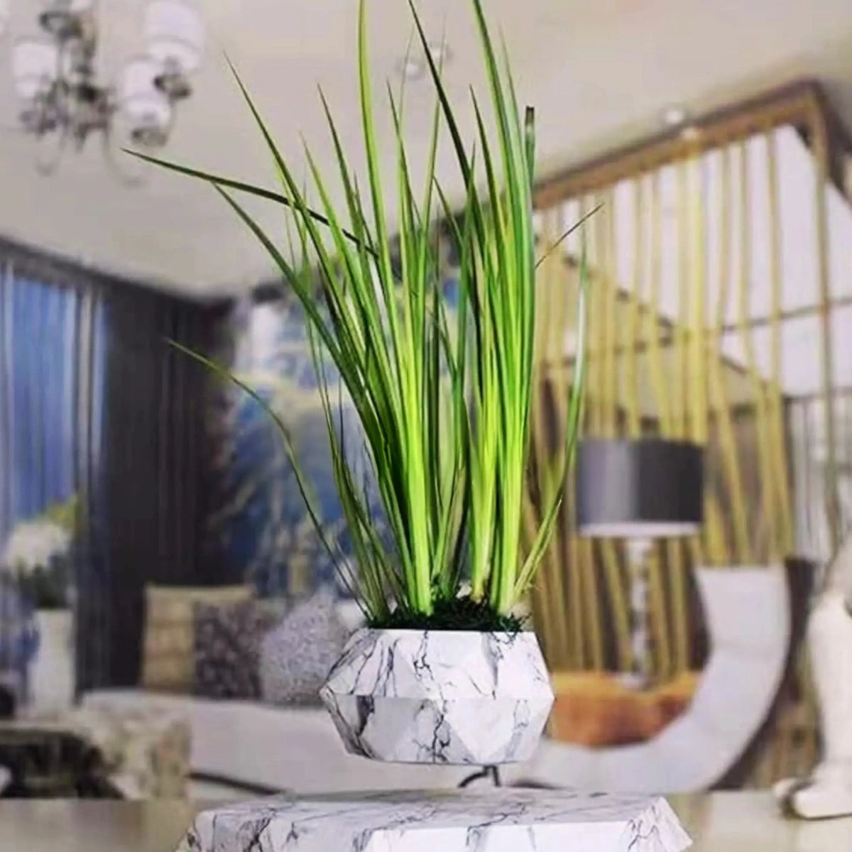 Levitating Plant Pot